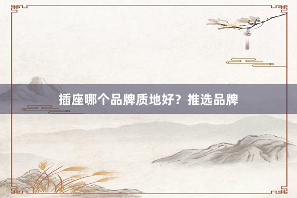 插座哪个品牌质地好？推选品牌