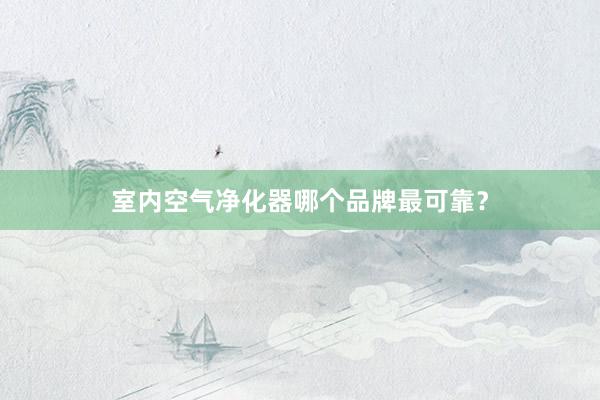 室内空气净化器哪个品牌最可靠？