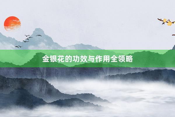 金银花的功效与作用全领略