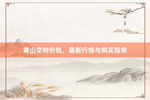 黄山栾树价钱，最新行情与购买指南
